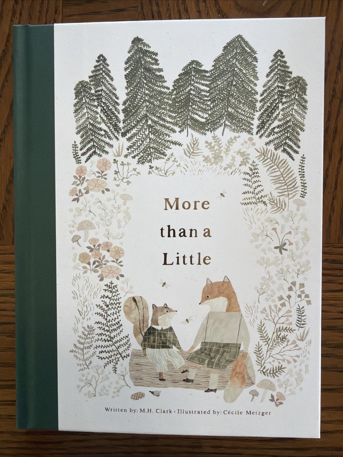 More Than a Little - hardcover, MH Clark
