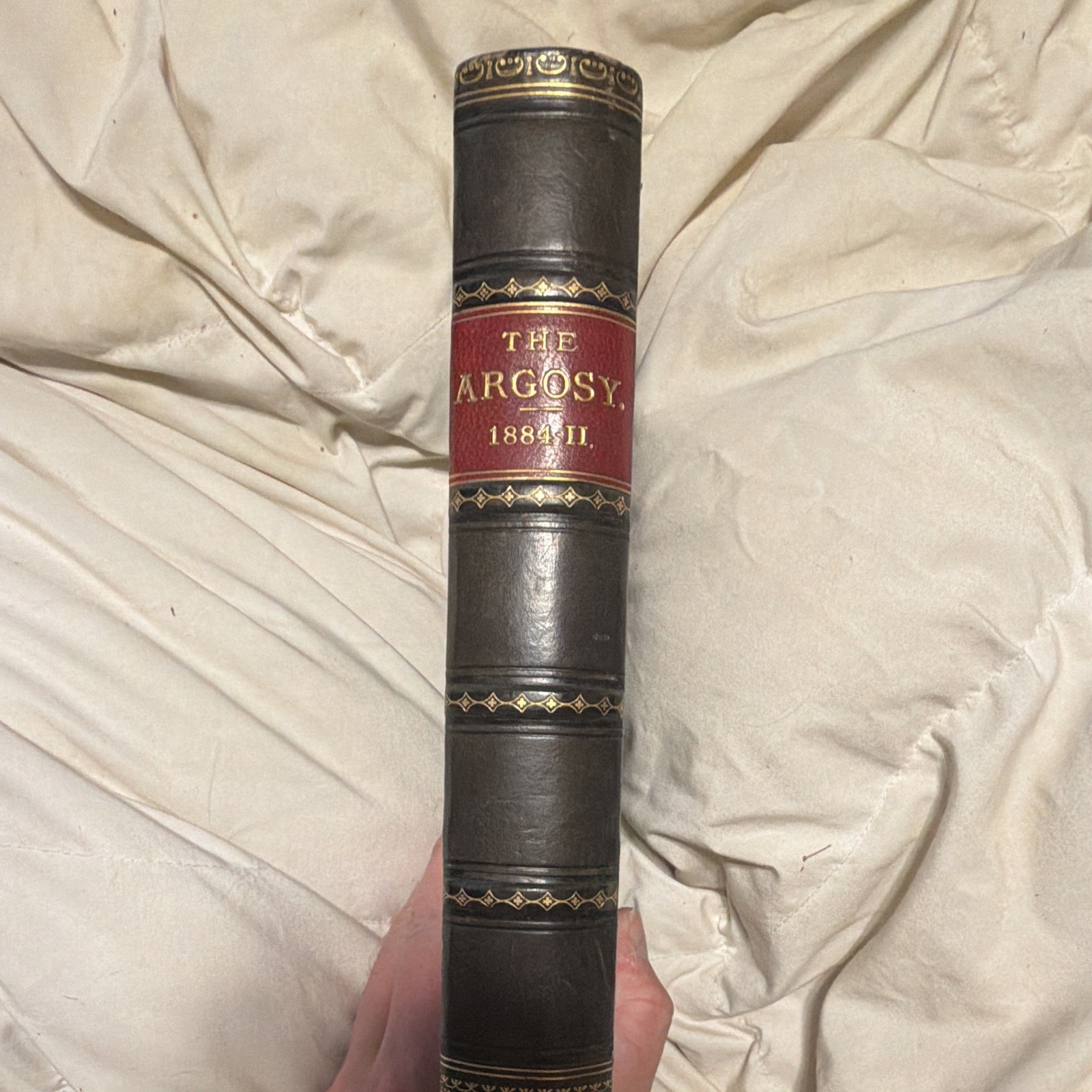 The Argosy Vol XXXVIII July-Dec 1884 Mrs Henry Wood Illus Leather