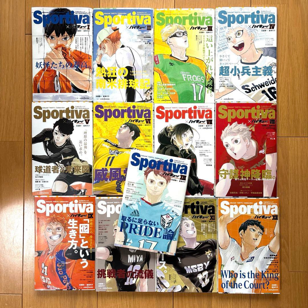 Haikyuu Novel Sportiva Version Complete Set 13 & Covers USED Japan