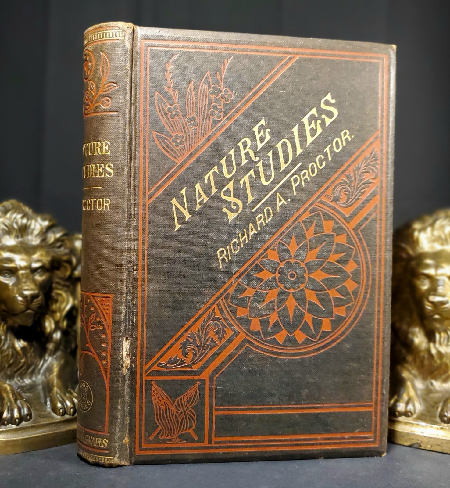 1899 NATURE STUDIES Grant Allen, Andrew Wilson, Thomas Foster, E. Clodd, Proctor