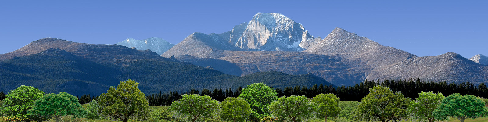 TRACKSIDE BACKDROP #681B Rocky Mountains Trees and sky O Scale