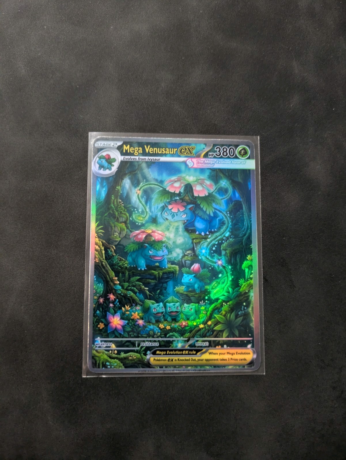 Phantasmal Style Mega Venusaur Holographic Display Card Phantasmal Style Mega Venusaur Holographic Display Card