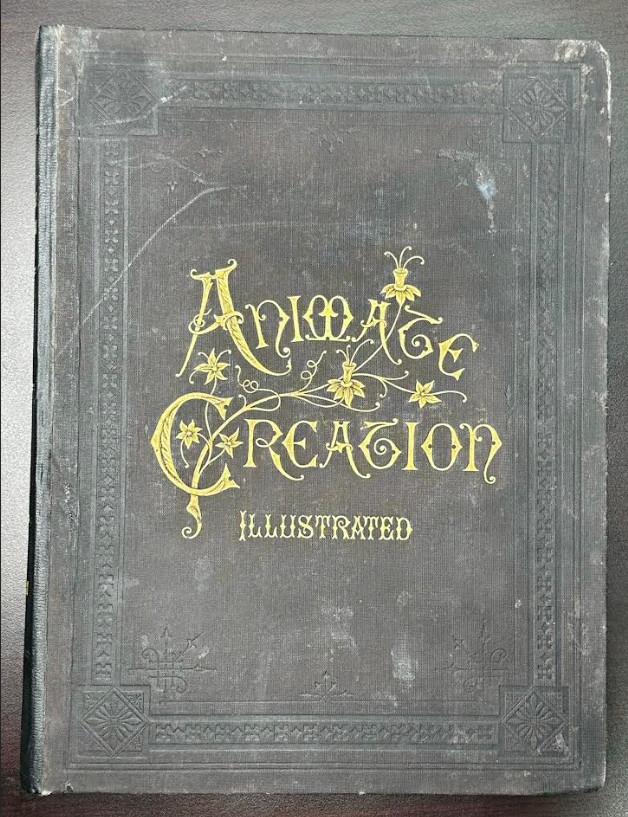Animate Creation; Popular Edition of 