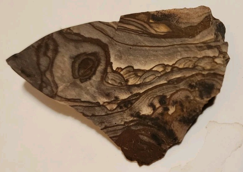 Rare AAA Grade Blue Biggs Picture Jasper High Quality ROUGH, From OR. (68 grams)