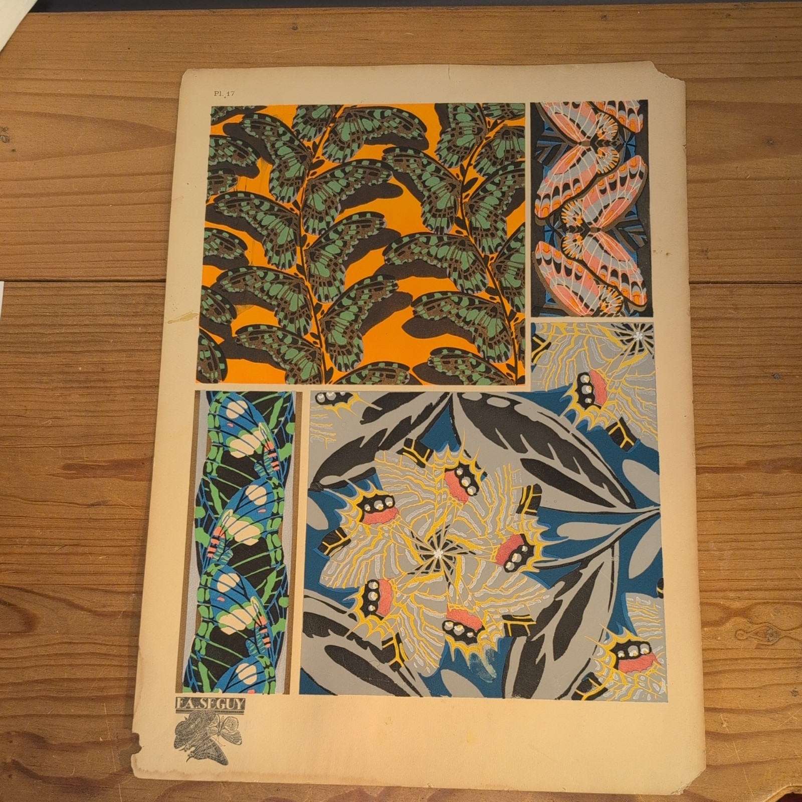 Rare Vintage E A SEGUY 1925 Papillons lithograph Butterflys 13x19 inch 