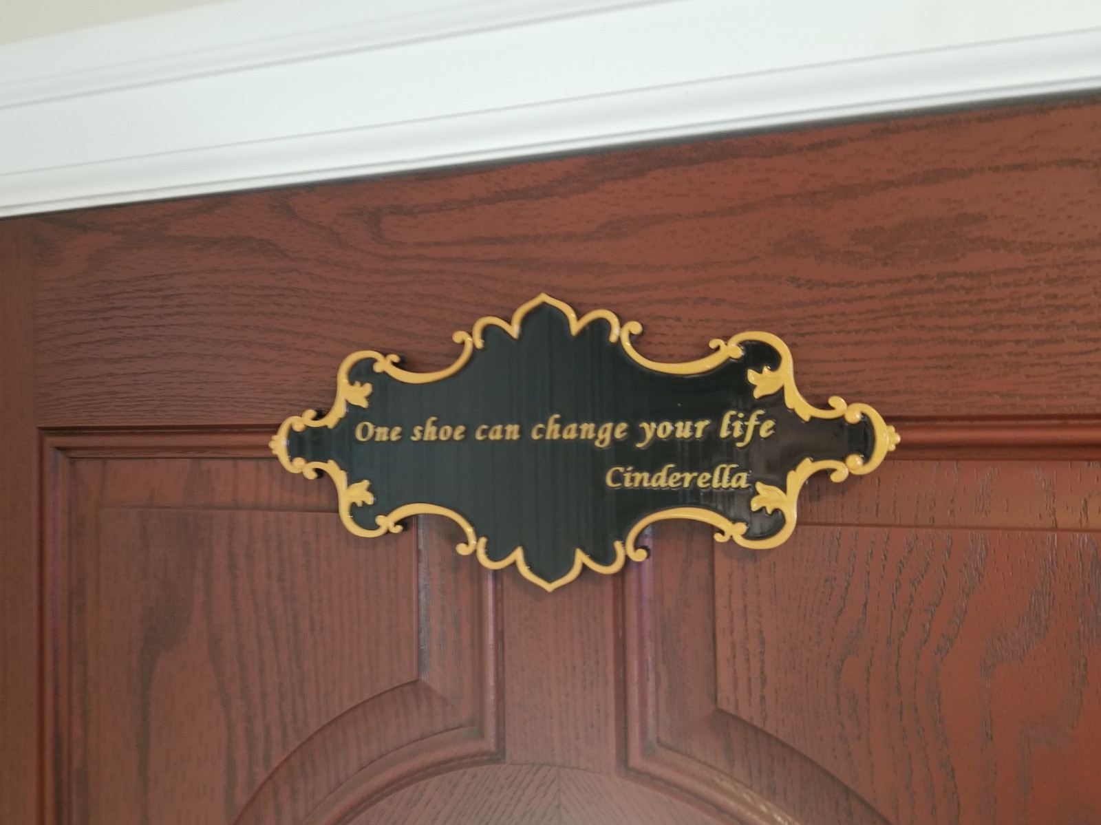 Cinderella One Shoe Can Change Your Life Inspired Sign - Dual Color