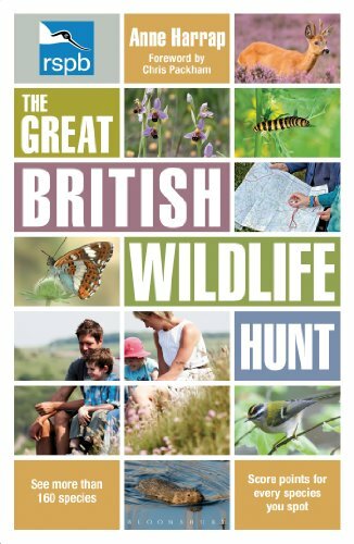RSPB The Great British Wildlife Hunt By Anne Harrap