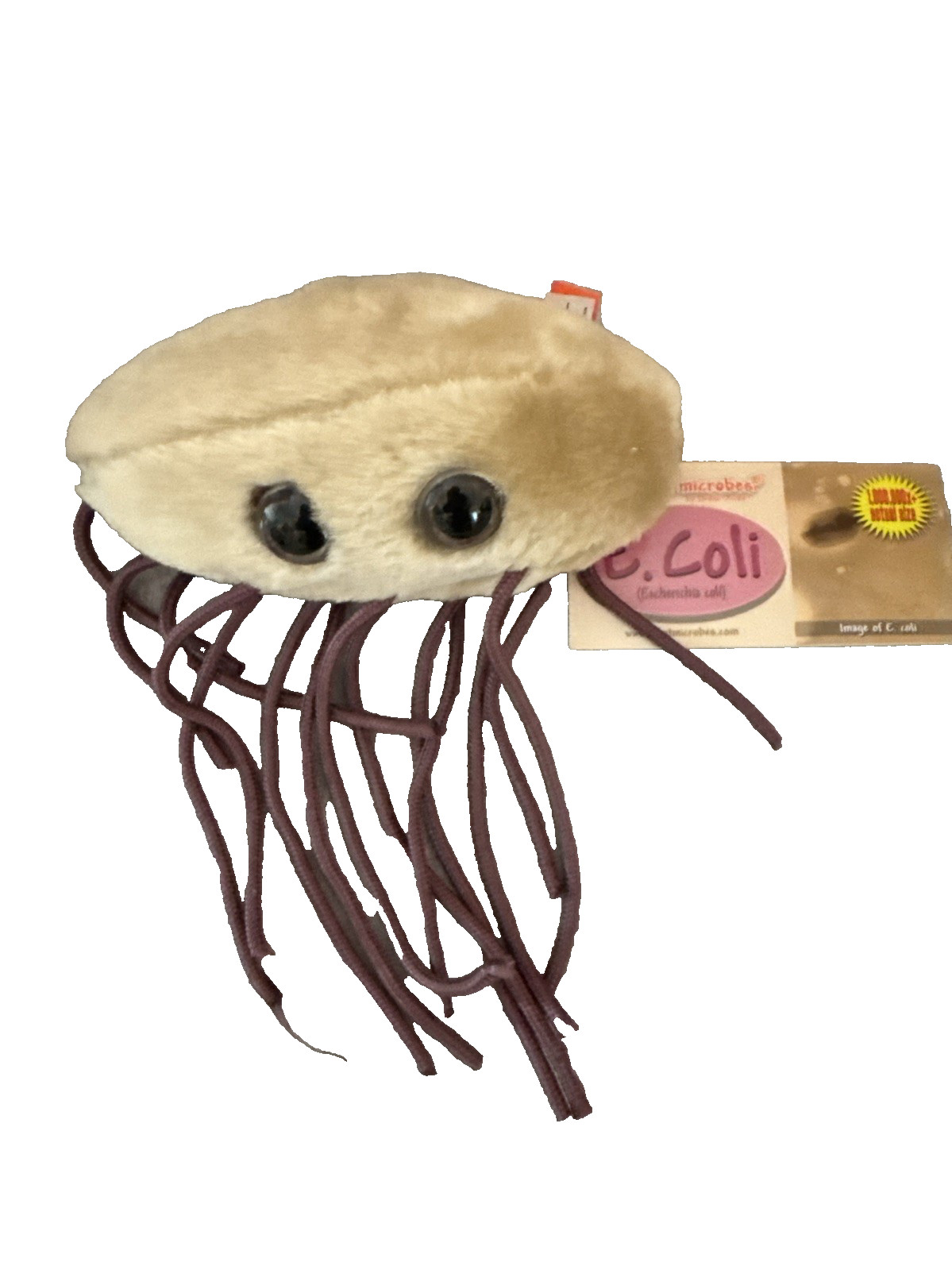Giant Microbes E.Coli Escherichia Plush Toy Soft Body Educational  6\
