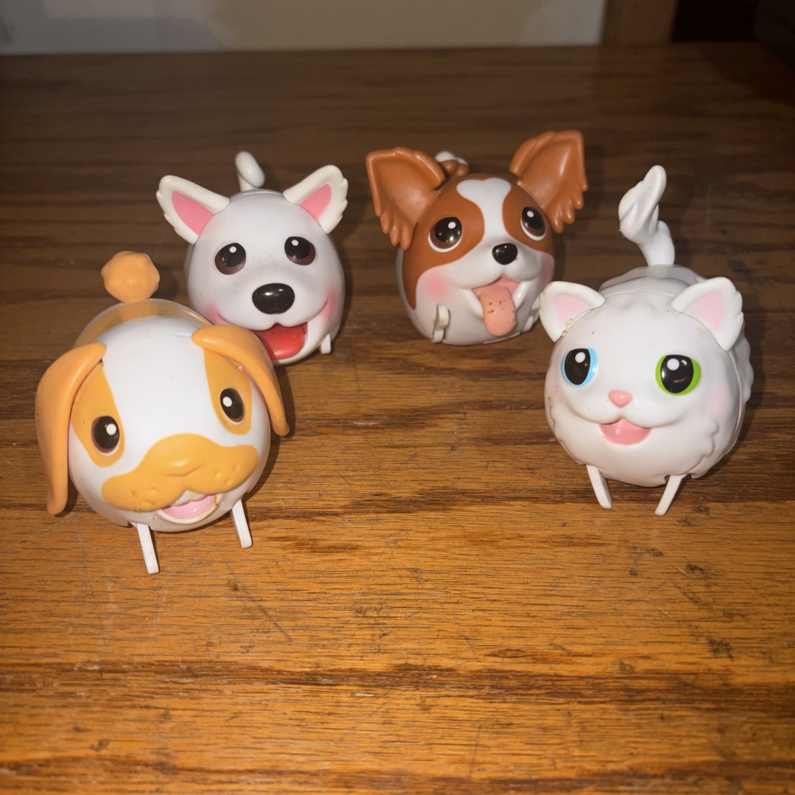 Chubby Puppies Puppy Jack Russell Lot Chubby Puppies Puppy Jack Russell Lot