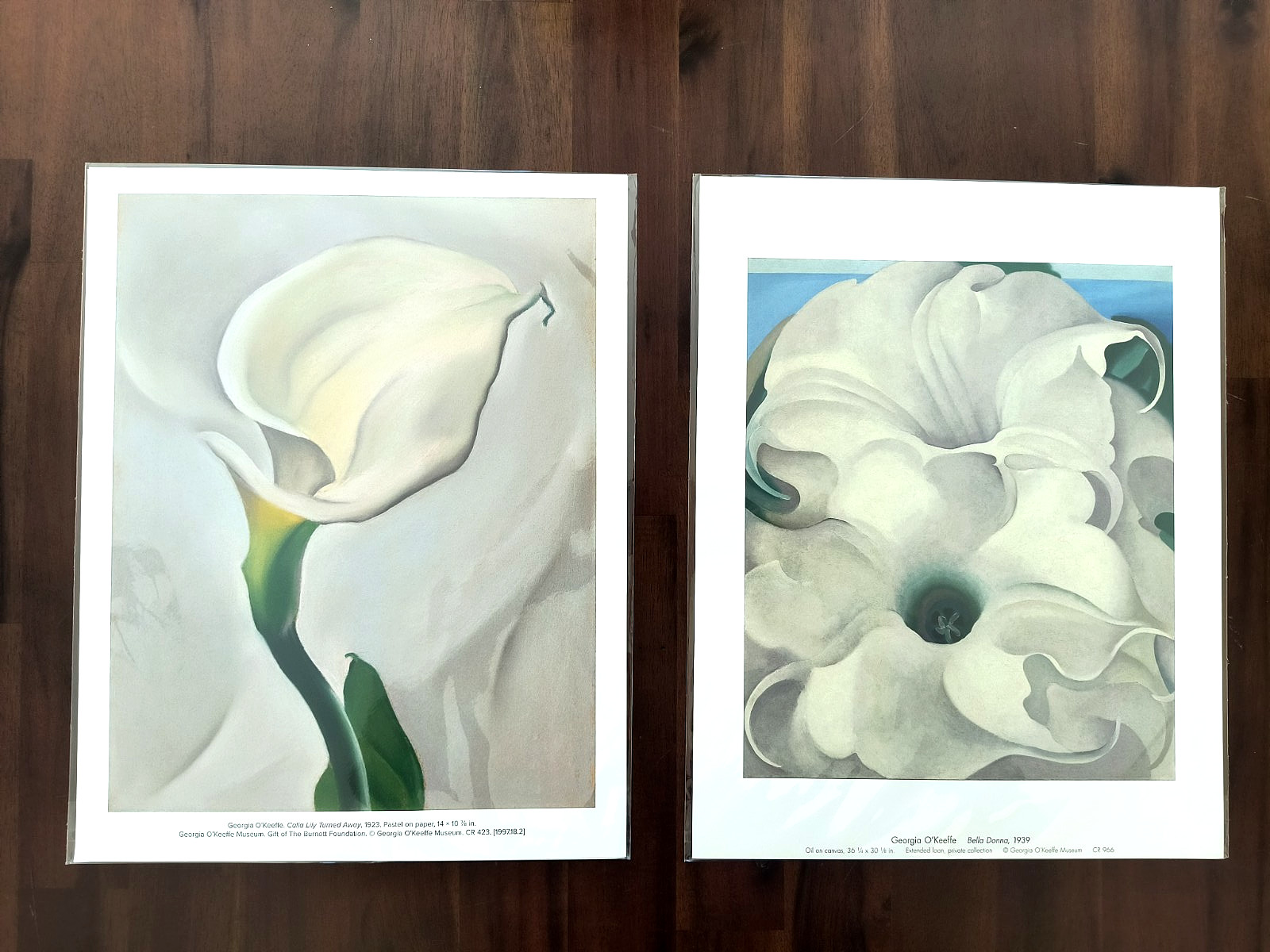GEORGIA O’KEEFE, ARCHIVAL QUALITY ART PRINTS, NEW, SEALED, 11X14, TWO PRINTS