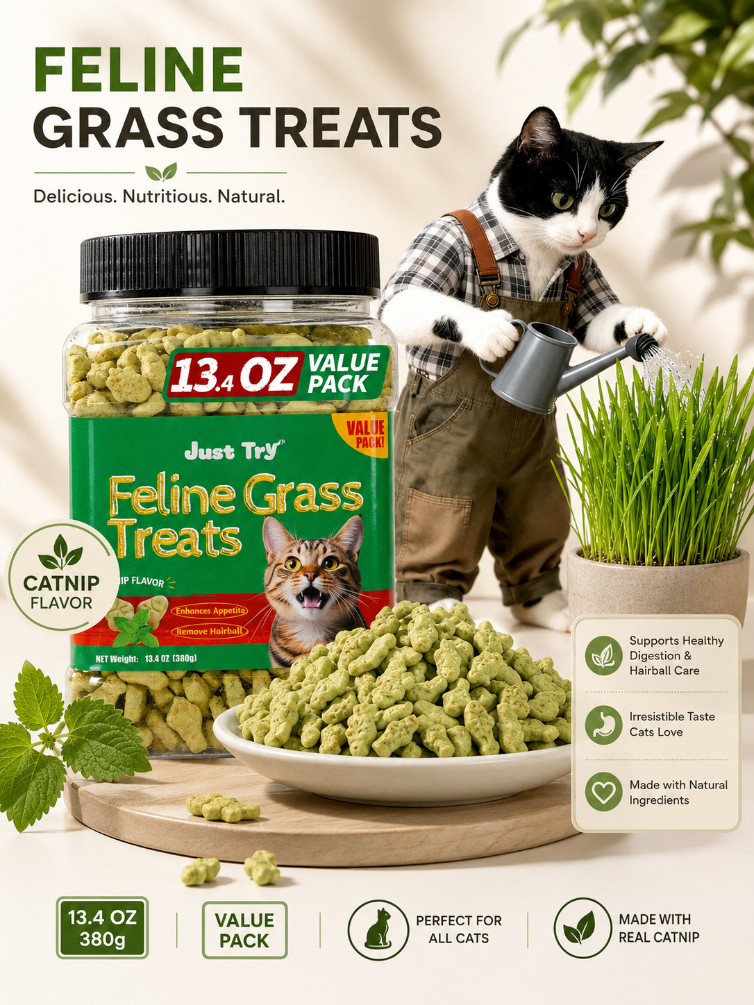 13.4 OZ Cat Grass Treats Natural Salmon Flavor Healthy Cat Snacks Training Biscu