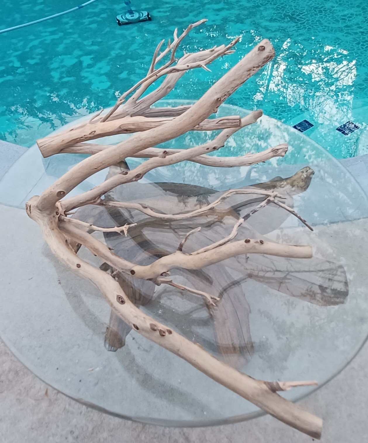 Set Of 2 Large Driftwood Manzanita Aquascape Aquarium Terariam Set Of 2 Large Driftwood Manzanita Aquascape Aquarium Terariam
