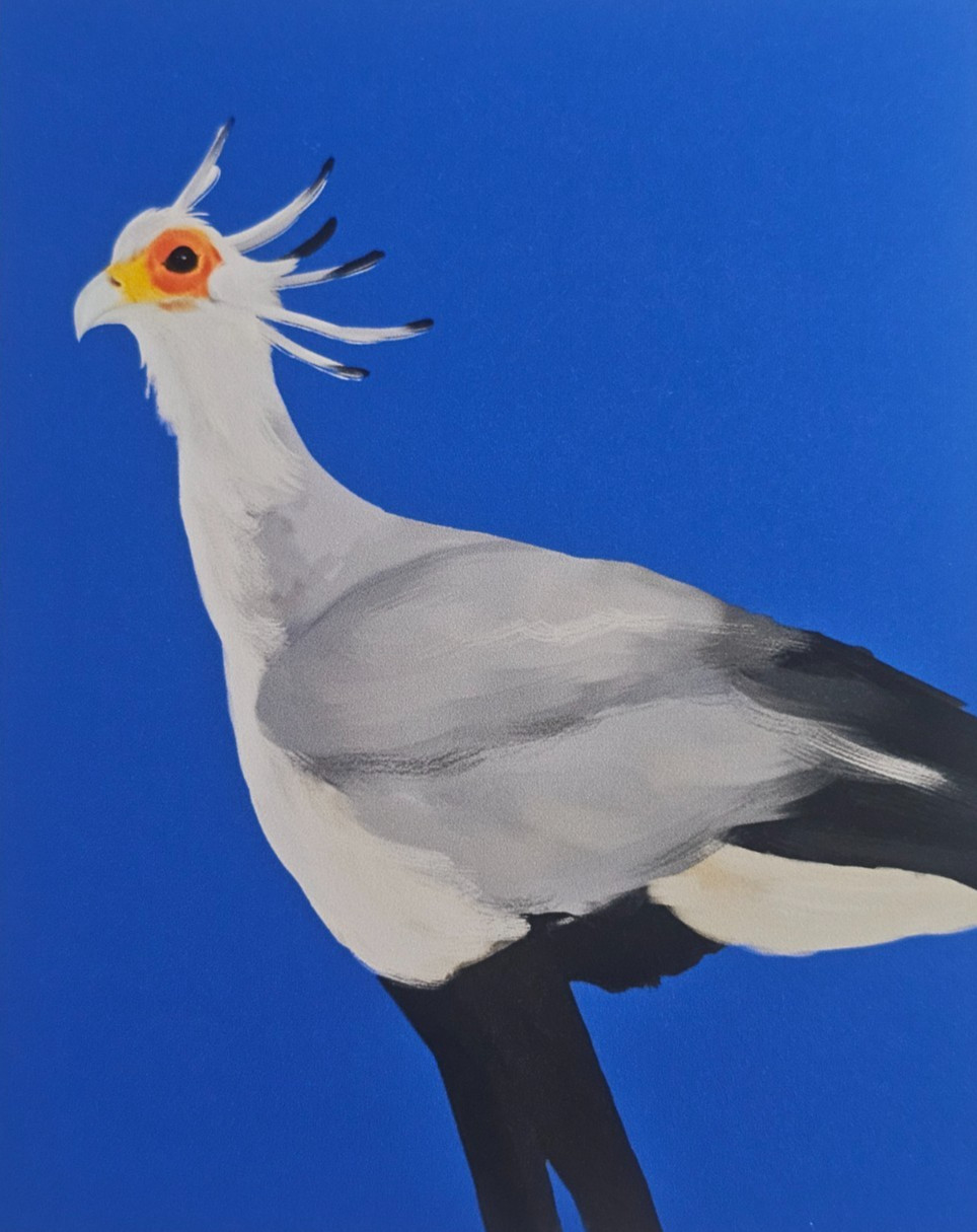 Secretary Bird Art Print | 4x5 Inches Secretary Bird Art Print | 4x5 Inches