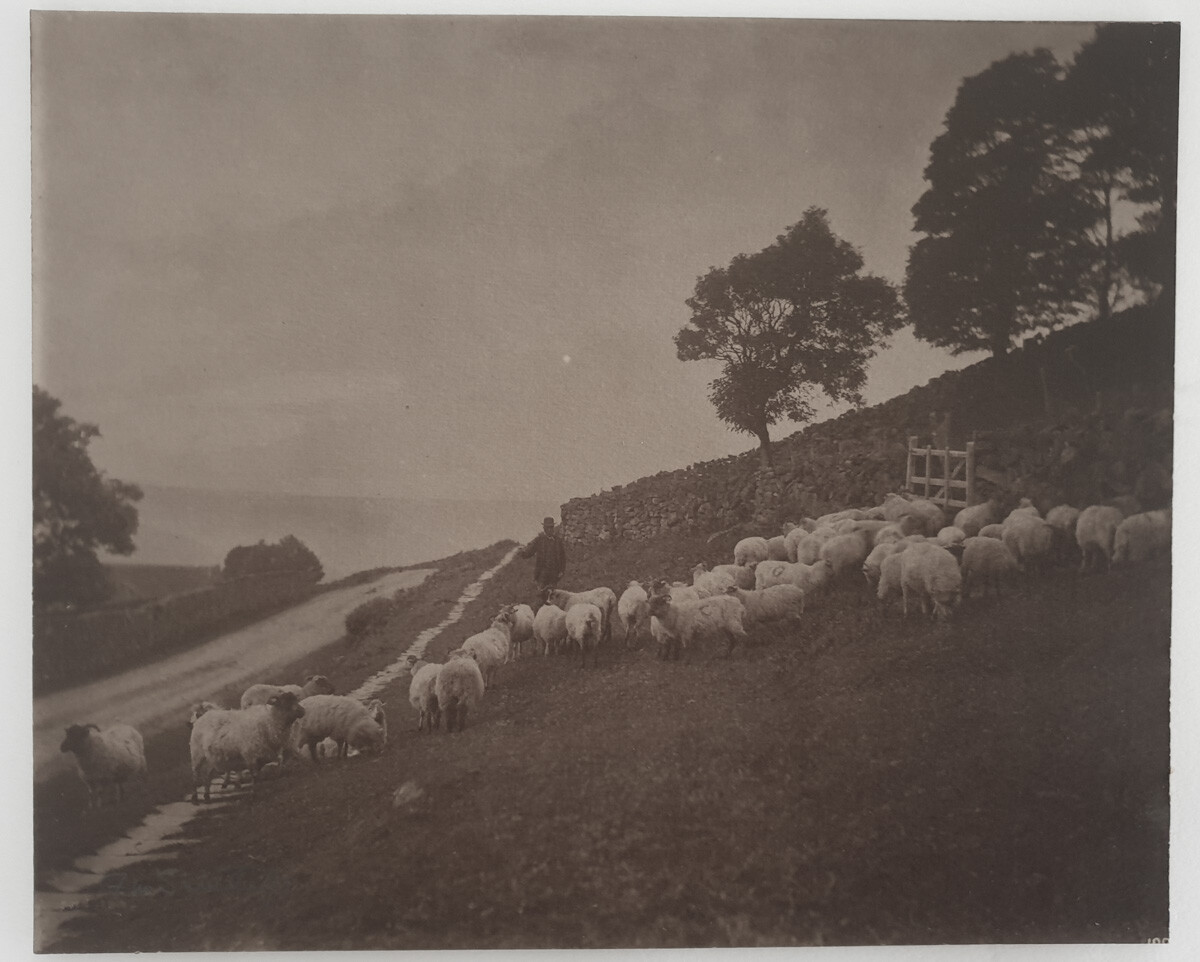 c.1890  FRANK MEADOW SUTCLIFFE GLAISDALE, SIGNED PRINT