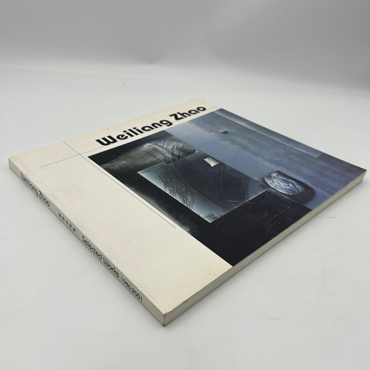 Weiliang Zhao Selected Works 1986-2001 Art Catalog Chinese Artist