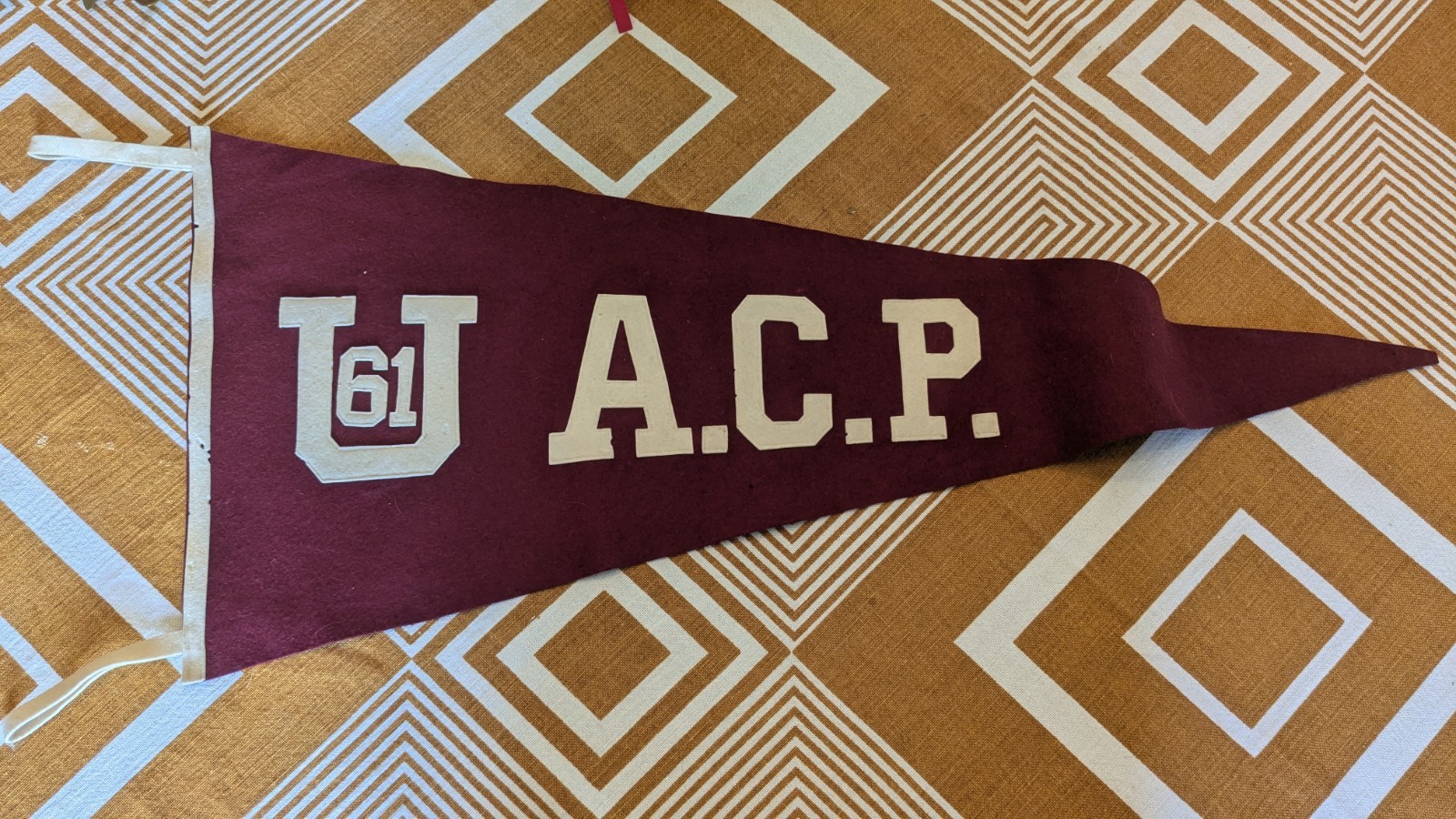 Vintage 1961  UNIVERSITY OF ARKANSAS COLLEGE of PHARMACY Class Felt Pennant ACP