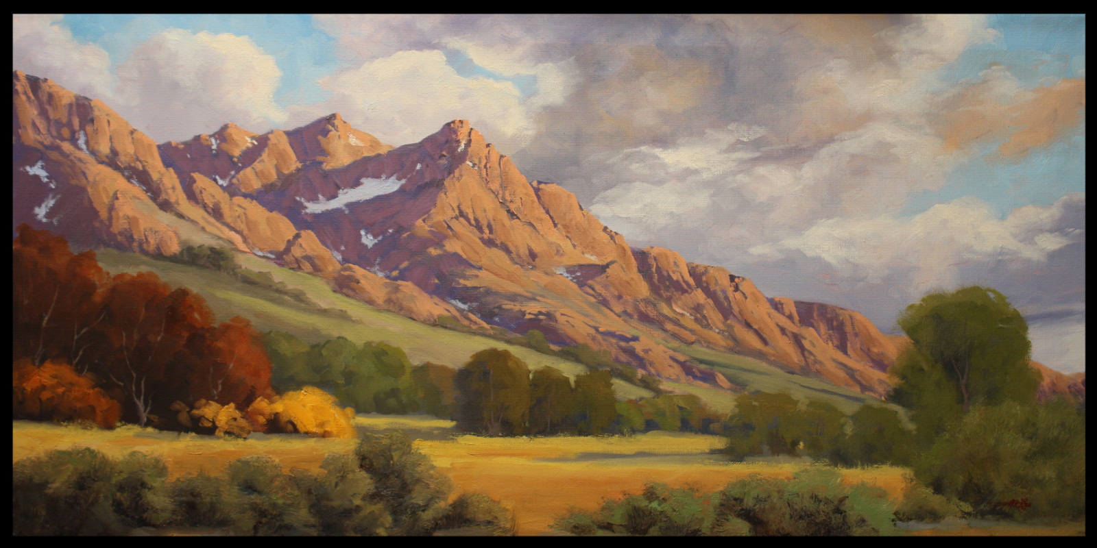 Jeff Love Art Large Original Oil Painting Arizona Catalina State Park Oro Valley