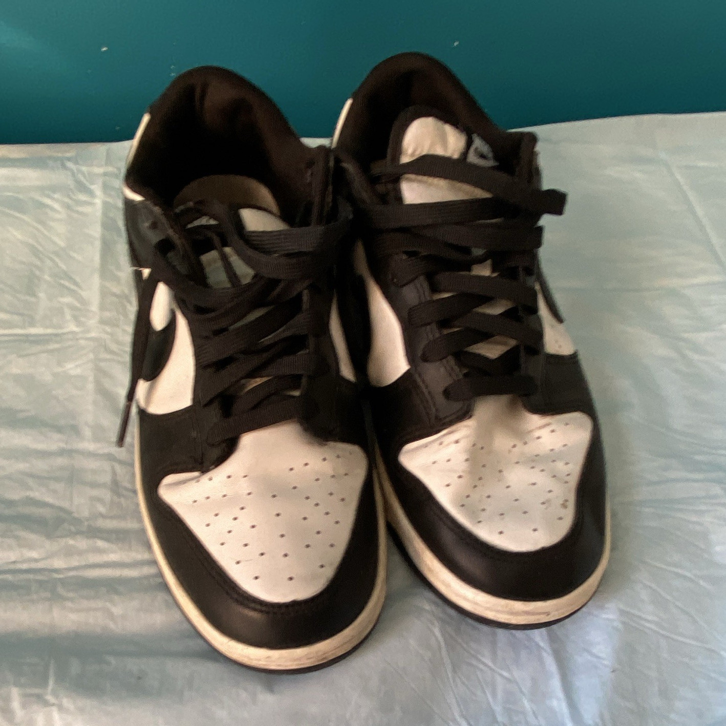 Nike Men’s Dunk Panda