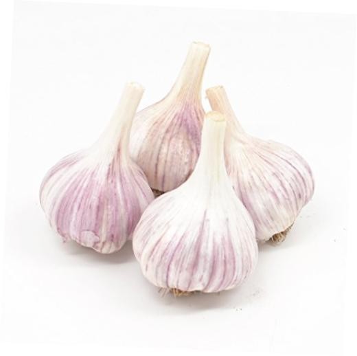 Gourmet Chesnok Red Garlic Bulbs Hard Neck - 4 Bulbs - Garlic To Plant For Gourmet Chesnok Red Garlic Bulbs Hard Neck - 4 Bulbs - Garlic To Plant For