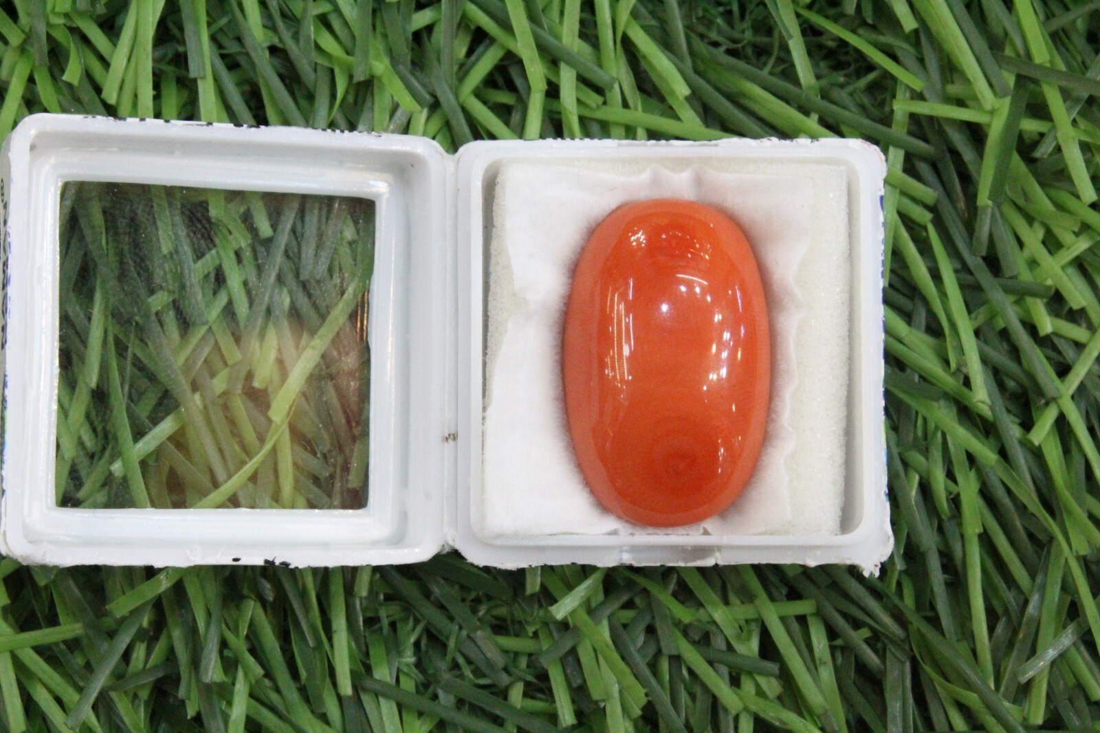 Natural Italian Red coral wt- 19 crt / italy  - AAA+  LAB CERTIFIED