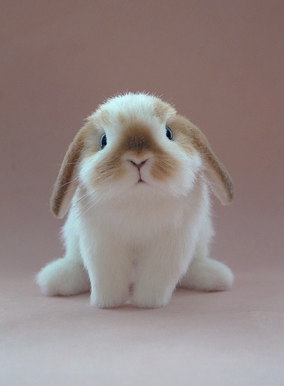 OAAK Realistic Lop Eared Bunny Rabbit Artist Soft Sculpture Decor