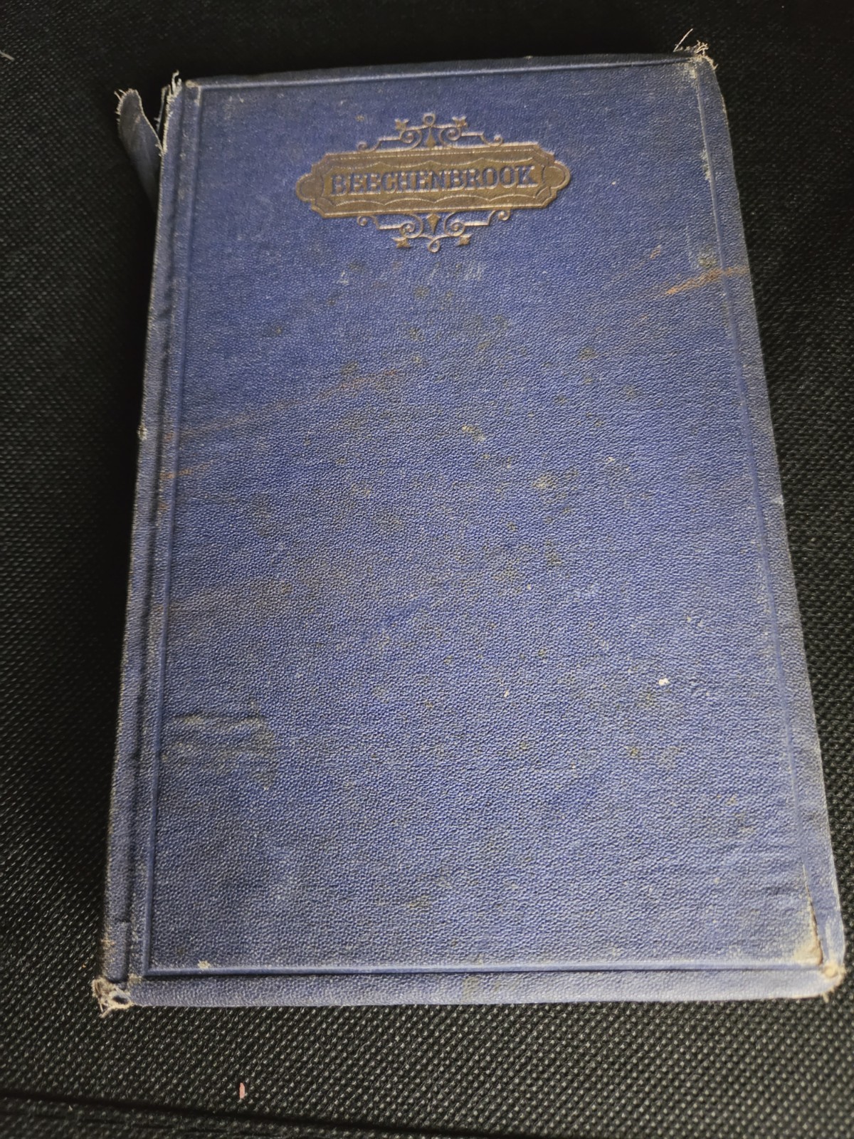 1867 Beechenbrook A Rhyme Of The War Margaret J Preston Civil War Poetry 1867 Beechenbrook A Rhyme Of The War Margaret J Preston Civil War Poetry