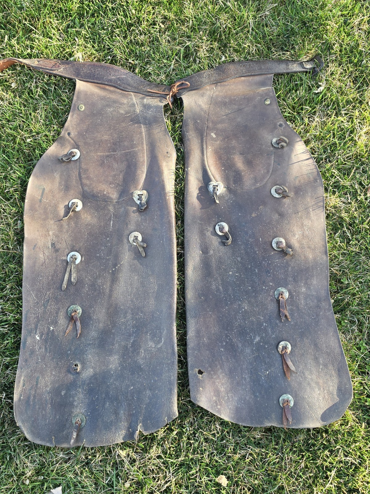 Rare Antique Lichtenberger-Ferguson Co chaps Los Angeles