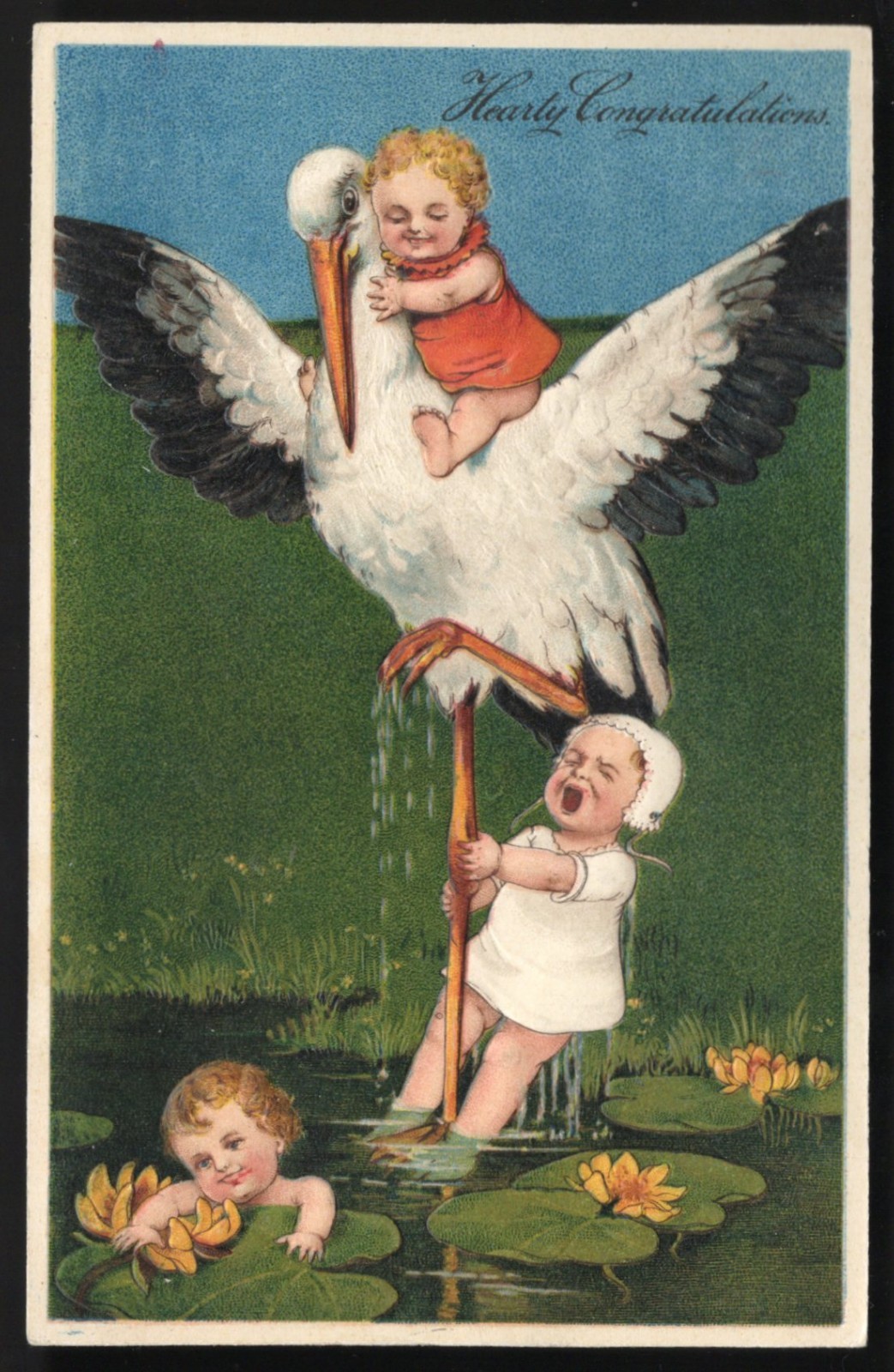 Hearty CONGRATULATIONS Postcard 1910s Embossed Humor Stork & Babies