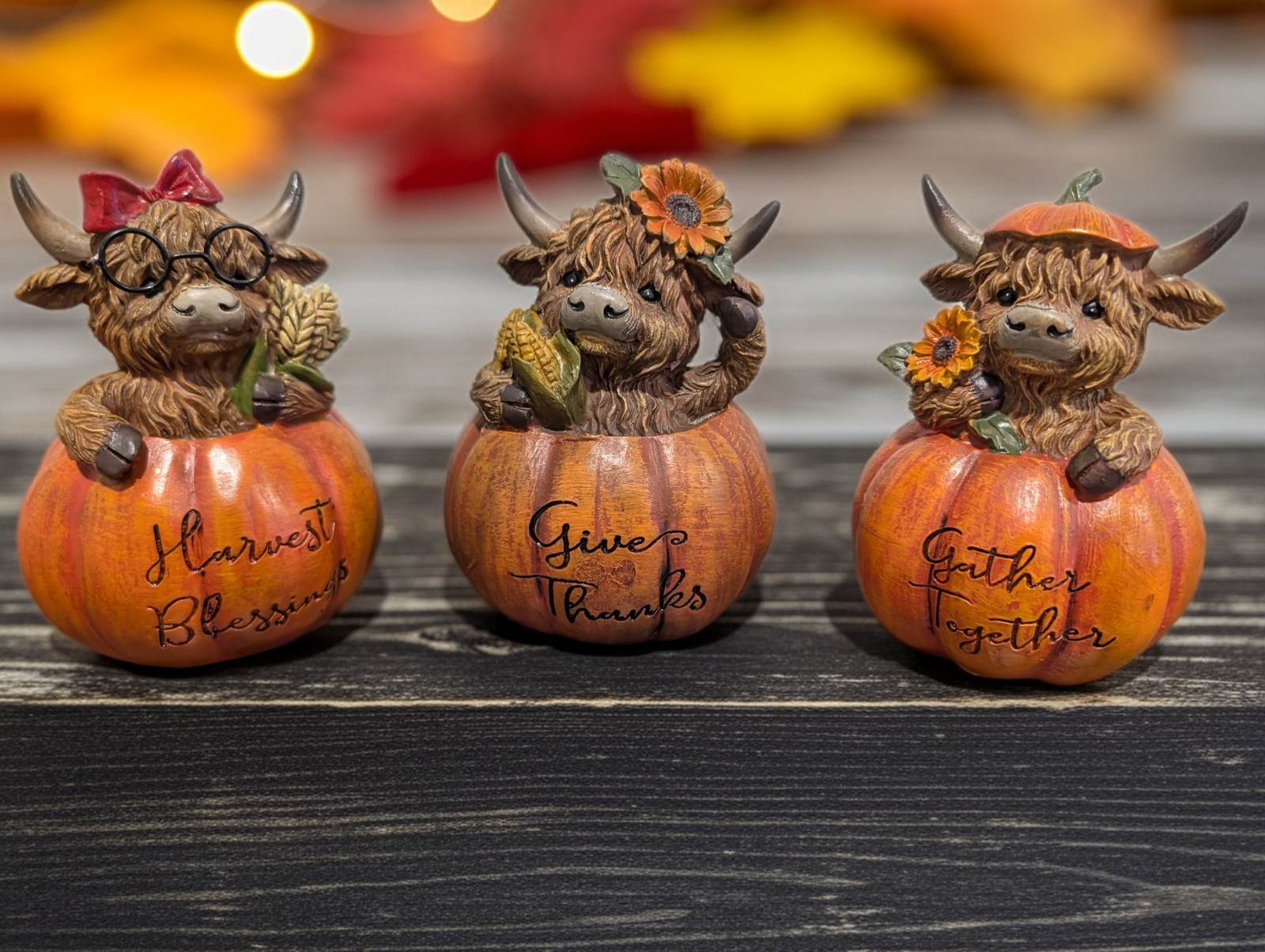 Highland Cow in Pumpkin Trio Tabletop Hannas Handiworks Autumn Fall Thanksgiving