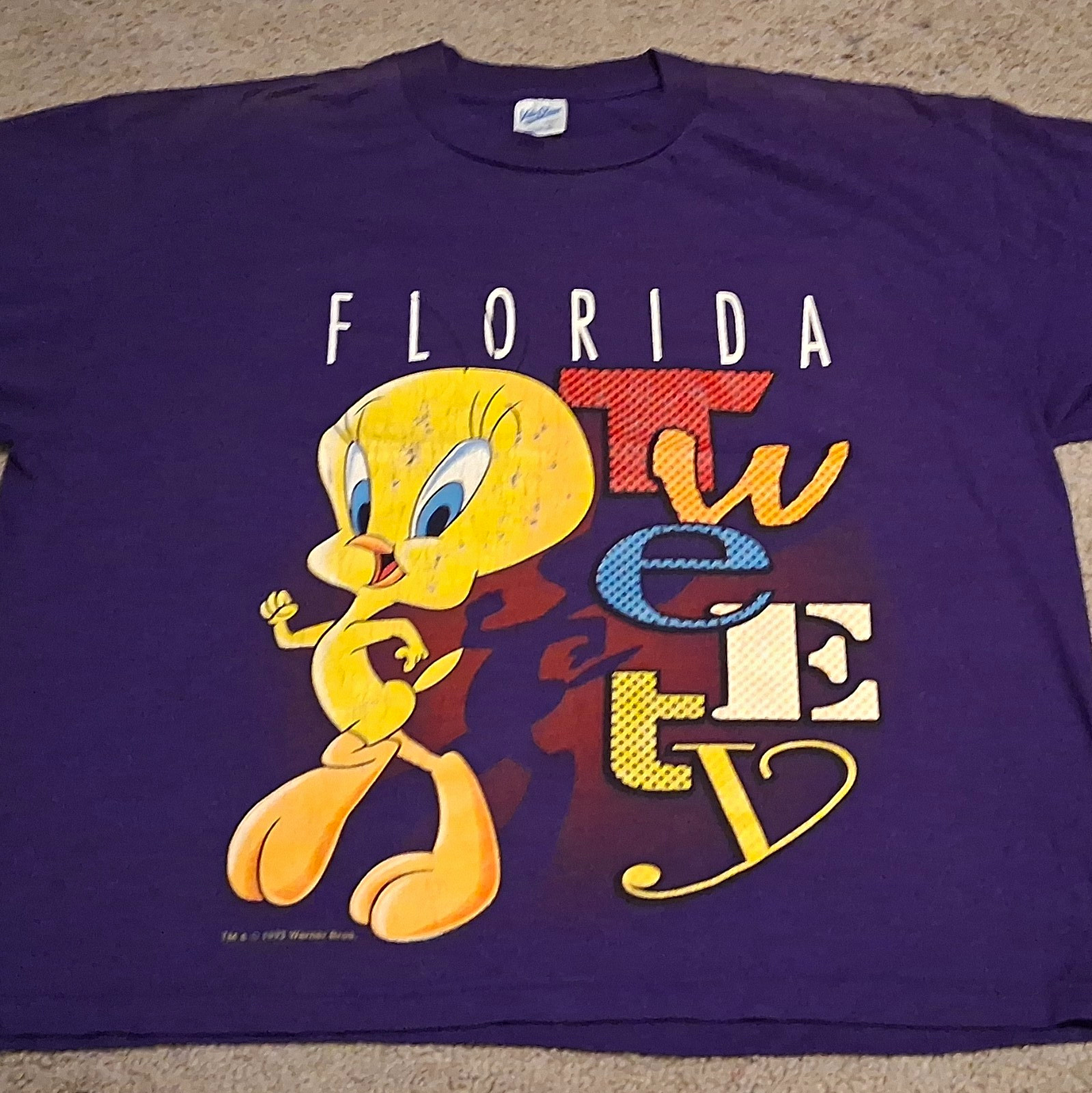 Velva Sheen Tweety Looney Tunes Florida Vintage 90s Purple Cotton Tee S Velva Sheen Tweety Looney Tunes Florida Vintage 90s Purple Cotton Tee S