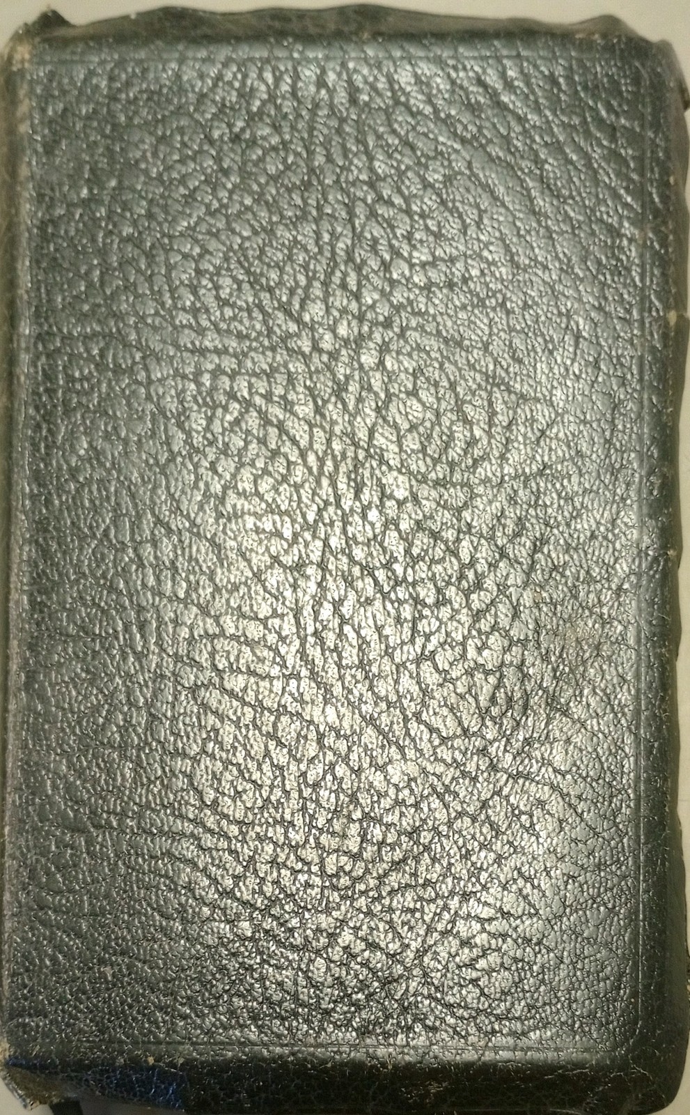 Family Bible for the Hamilton family (Bible Rescue #154)