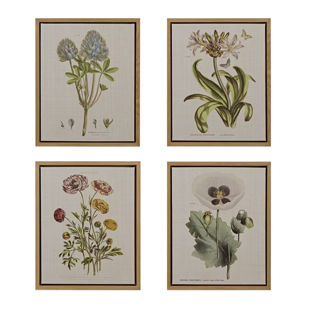 4pc Herbal Botany Framed Linen Canvas Green - Martha Stewart