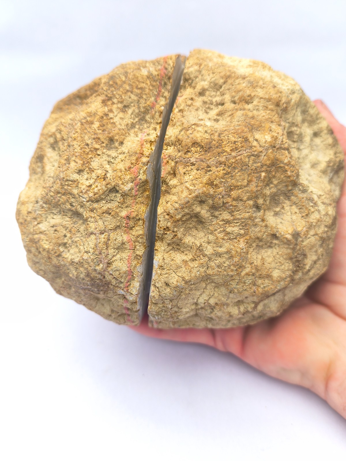 5.36 lb Kentucky Clean Break Geode Pre-Scored Broughtontown 6\