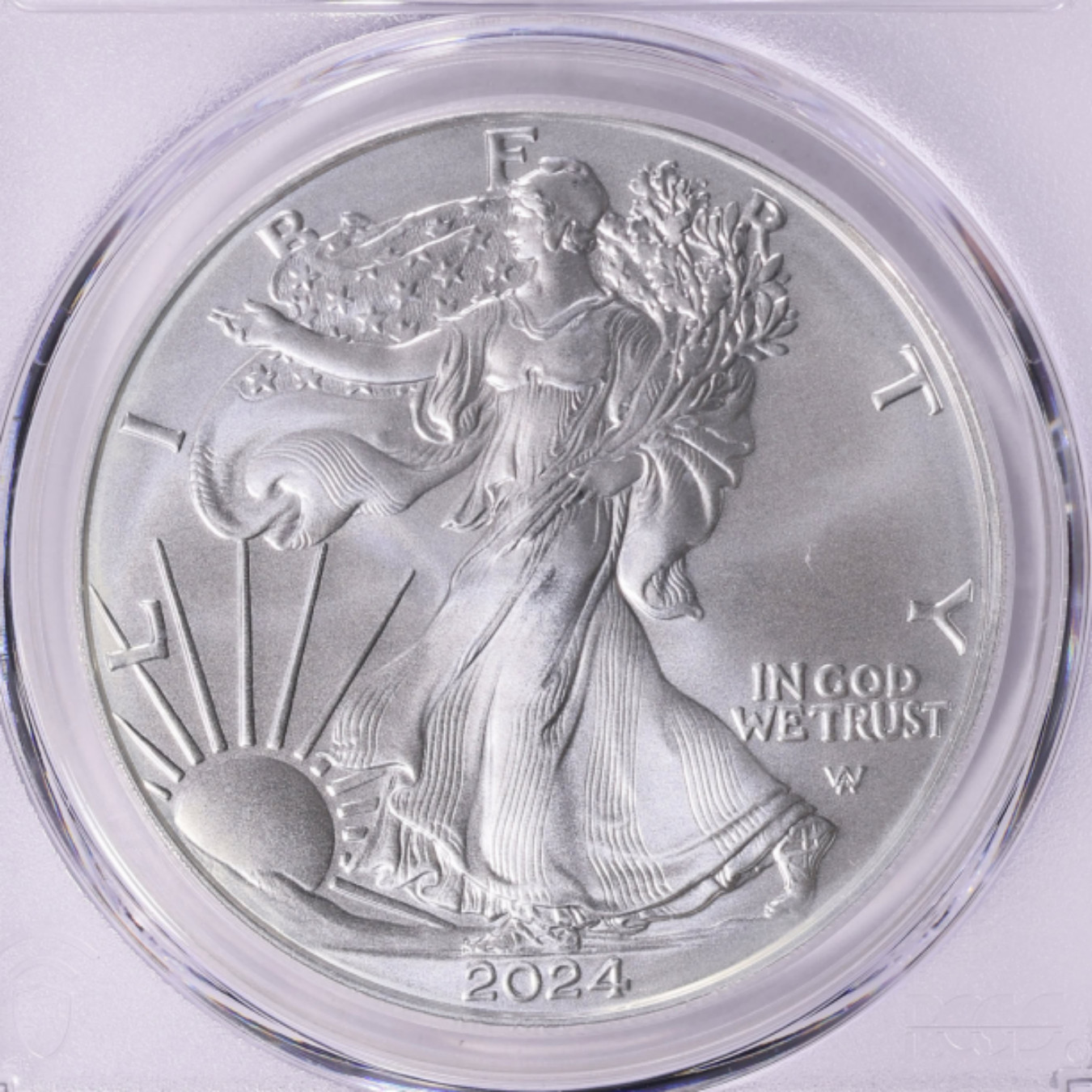 2024 $1  American Silver Eagle 1 oz Sliver Round
