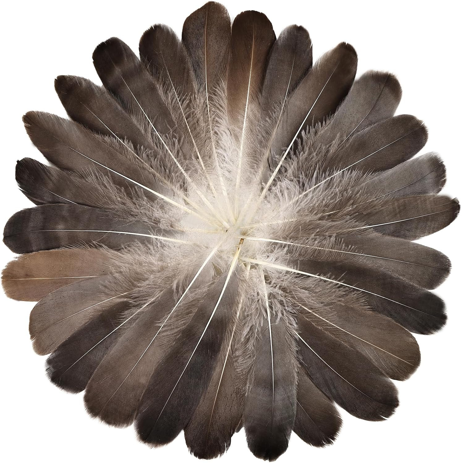 120Pcs Natural Gray Goose Feathers 6-8 Inch 15-20Cm Decorative 120Pcs Natural Gray Goose Feathers 6-8 Inch 15-20Cm Decorative