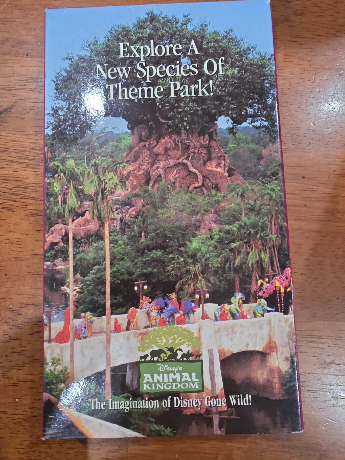 1998 Disney Animal Kingdom Opening Year Planning Kit Box Letter Tree of Life