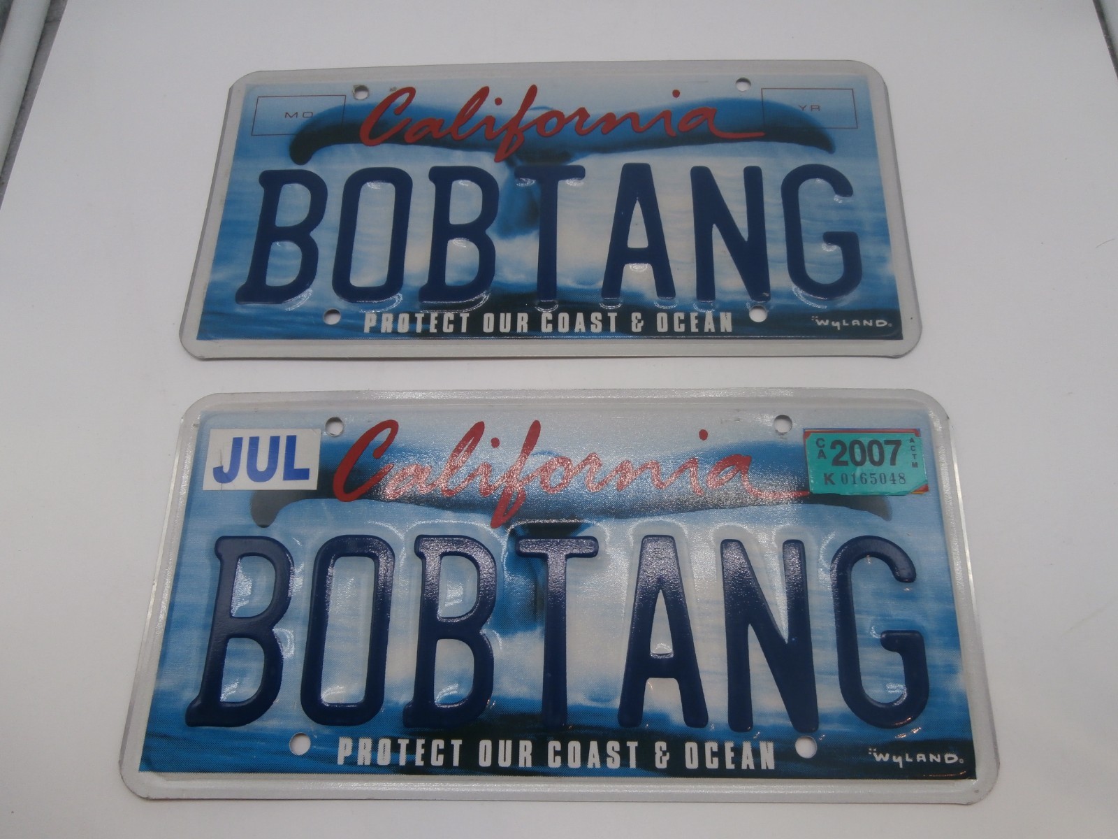 VTG CALIFORNIA Protect Our Coast, Whale,WYLAND 2 License Plate \