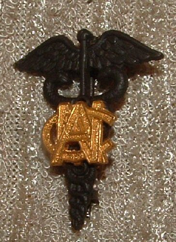  WWI Army Nurse Corps ANC Pin Caduceus Collar Insignia Original  WW1 Pin Back 