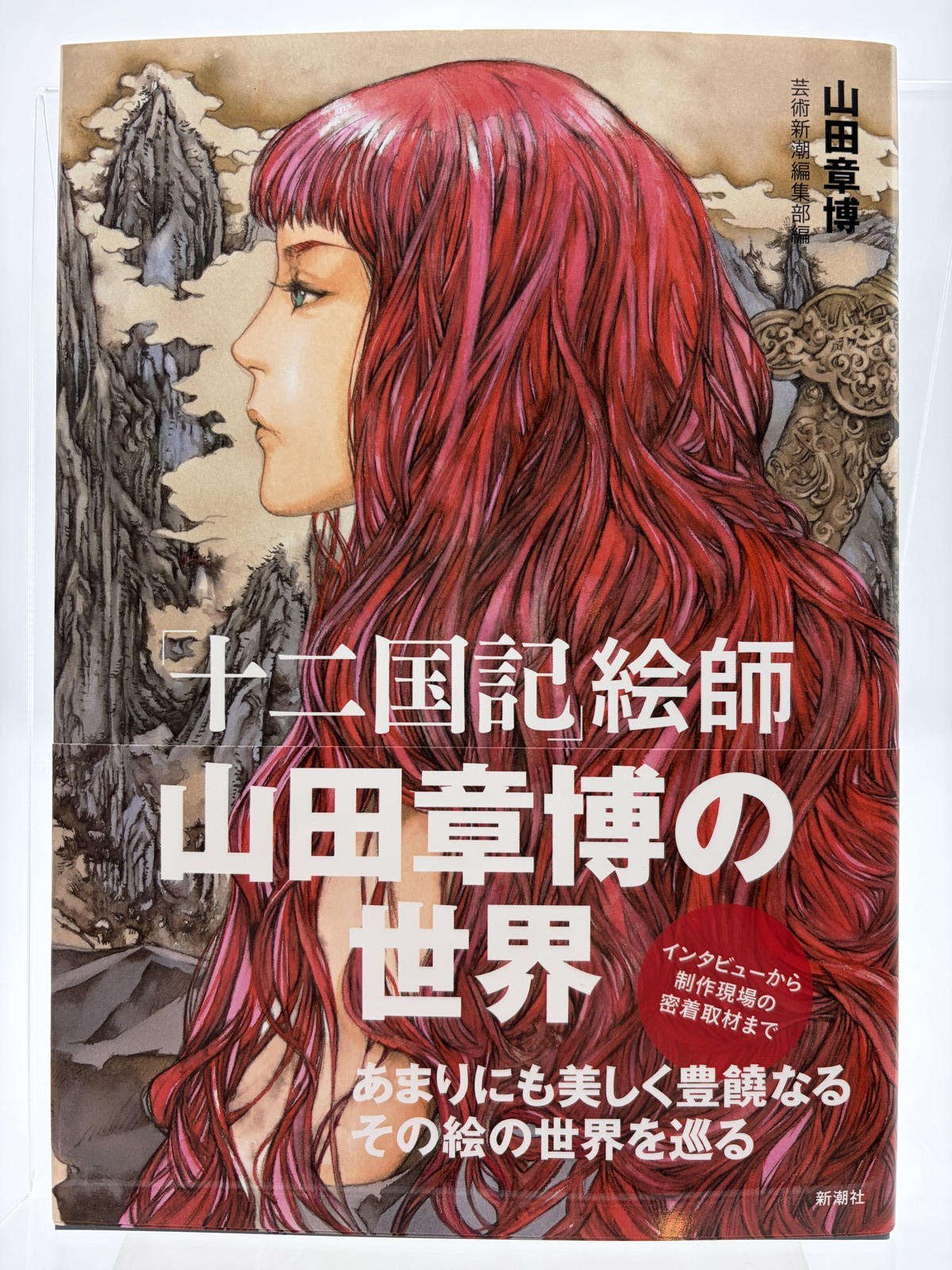 Twelve Kingdoms Akihiro Yamada Illustration Art Book Juuni Kokuki Japanese 2023