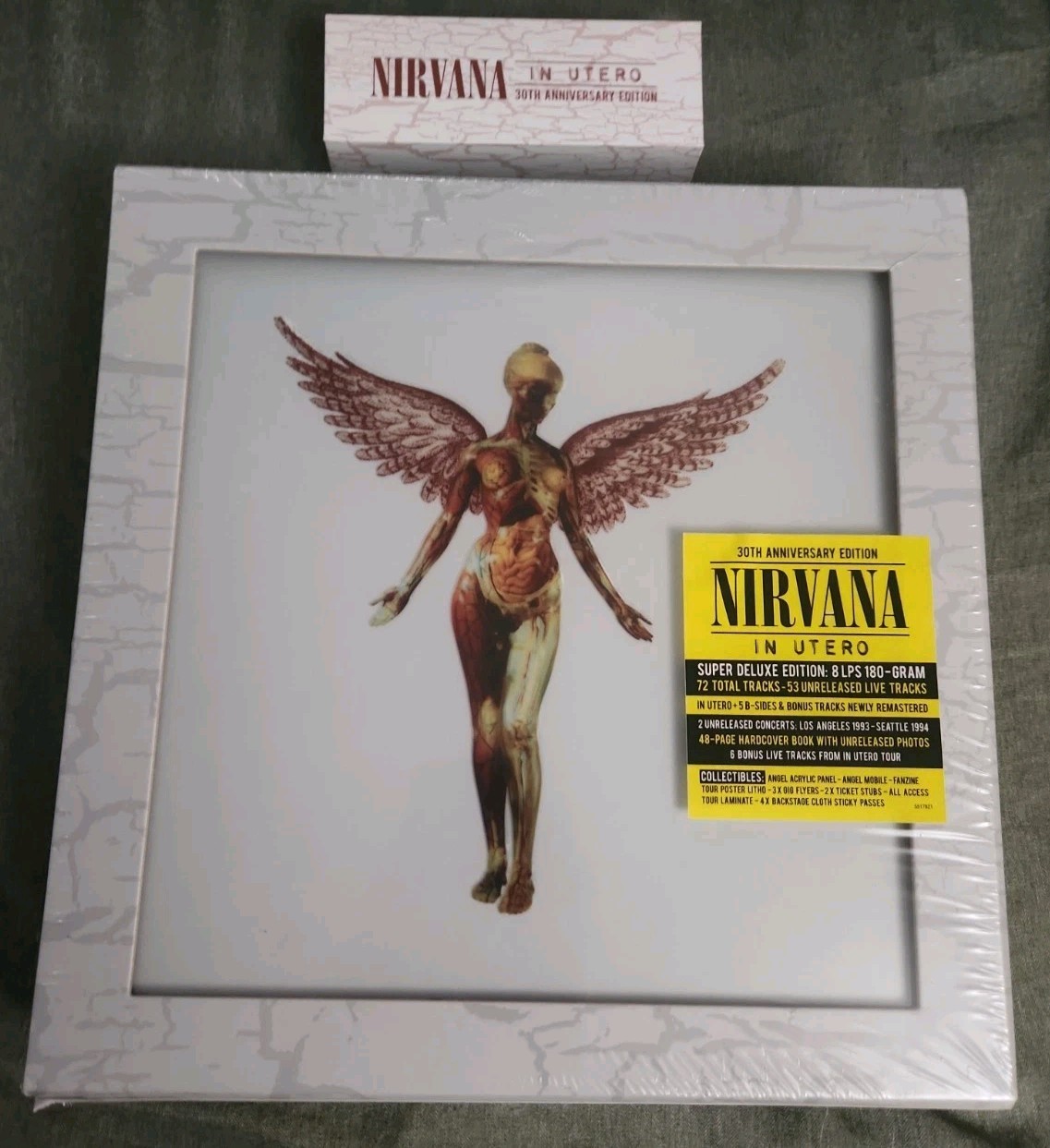 In Utero (30th Anniversary) by Nirvana SUPER DELUXE EDITION BOX SET In Utero (30th Anniversary) by Nirvana SUPER DELUXE EDITION BOX SET