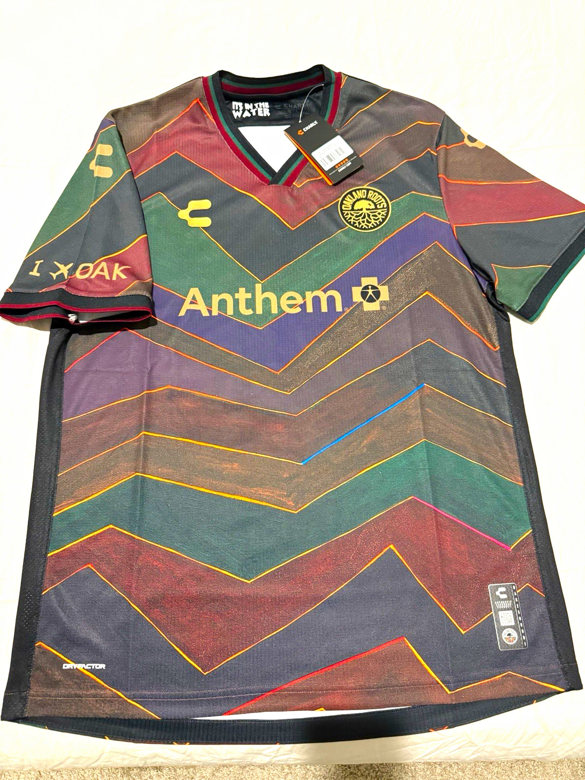 Oakland Roots FC 2025 3rd kit Size (L) Oakland Roots FC 2025 3rd kit Size (L)