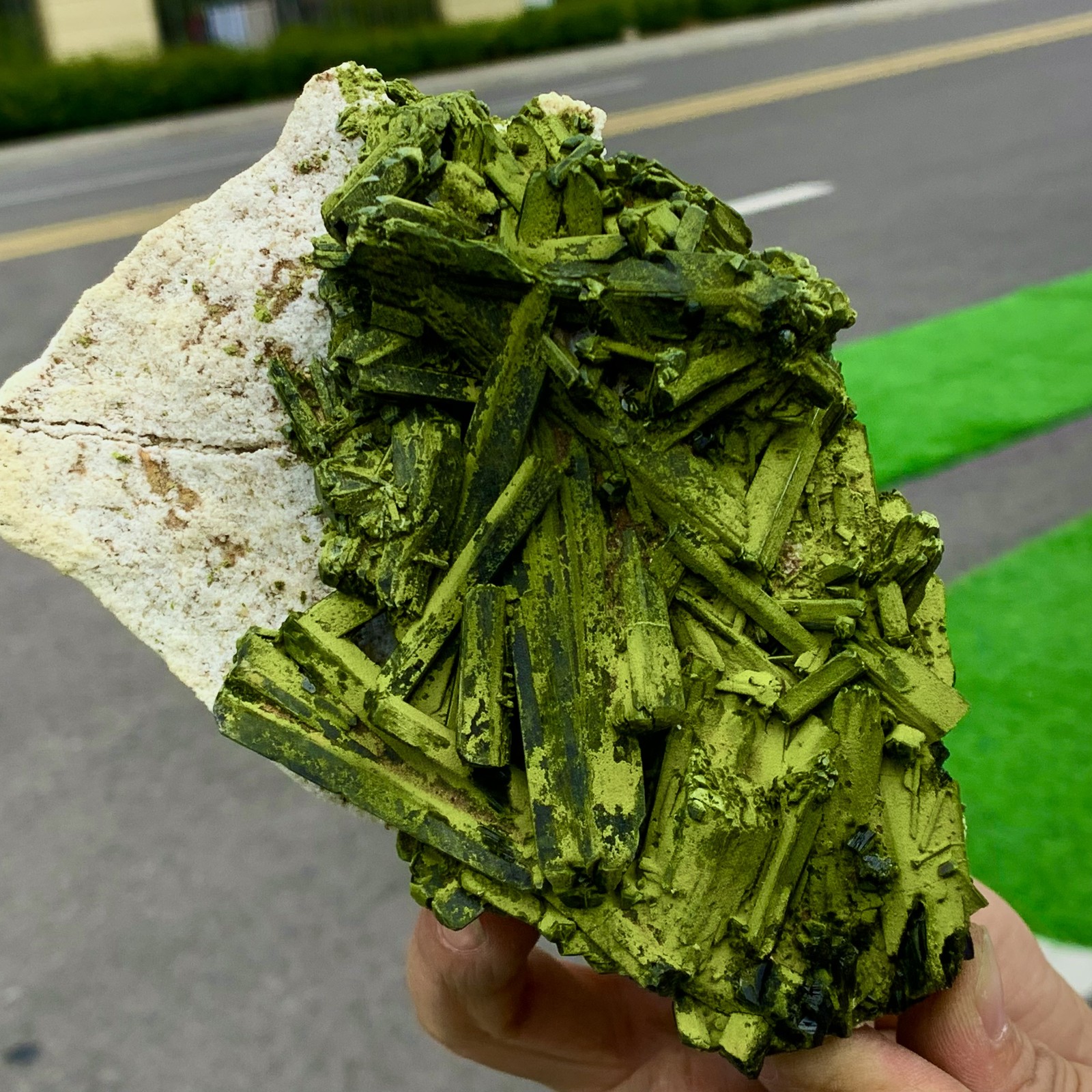 1.58LB Rare Natural green tourmaline quartz crystal cluster mineral specimen
