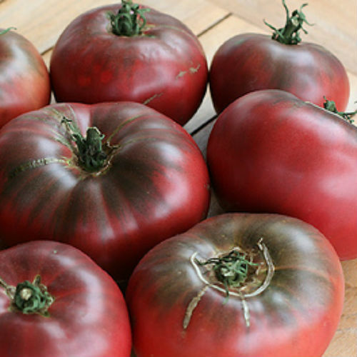 Cherokee Purple Tomato Seeds | Heirloom / Non-GMO | | 1022 Cherokee Purple Tomato Seeds | Heirloom / Non-GMO | | 1022