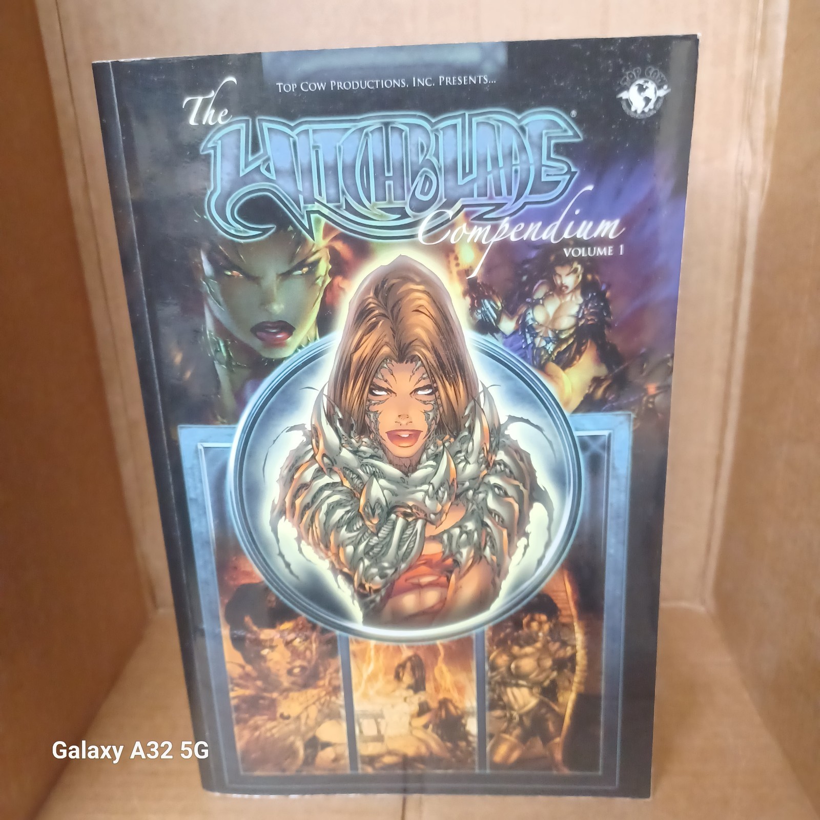 Witchblade Compendium volumes 1 Davis Wohl Christina Z 1 Trade Nearnu 0731