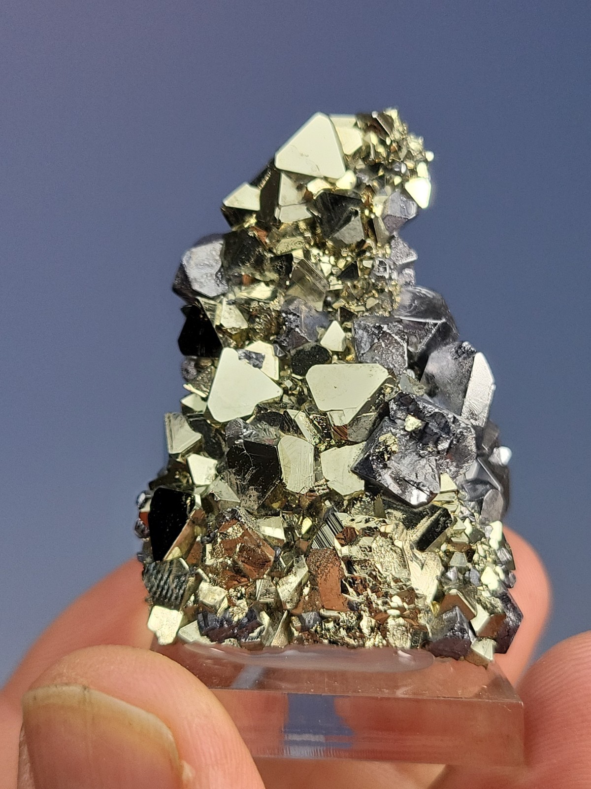 Pyrite w Galena. Mina Recuerdo, Peru. Sharp, Lustrous Xtals. Pyrite w Galena. Mina Recuerdo, Peru. Sharp, Lustrous Xtals.