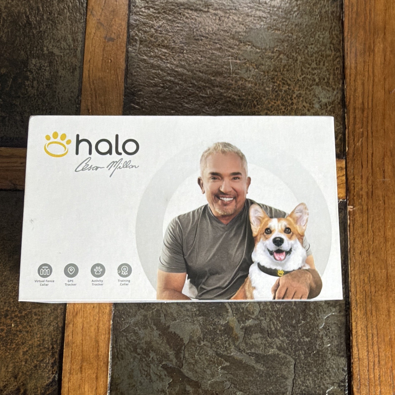 Halo Halo L Collar Wireless GPS Virtual Fence Dog Training Collar System White