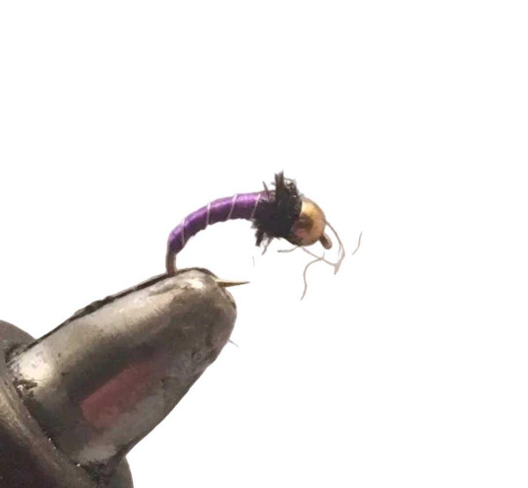 One Dozen(12) Beadhead Zebra Midge Purple- Strike Fly Company