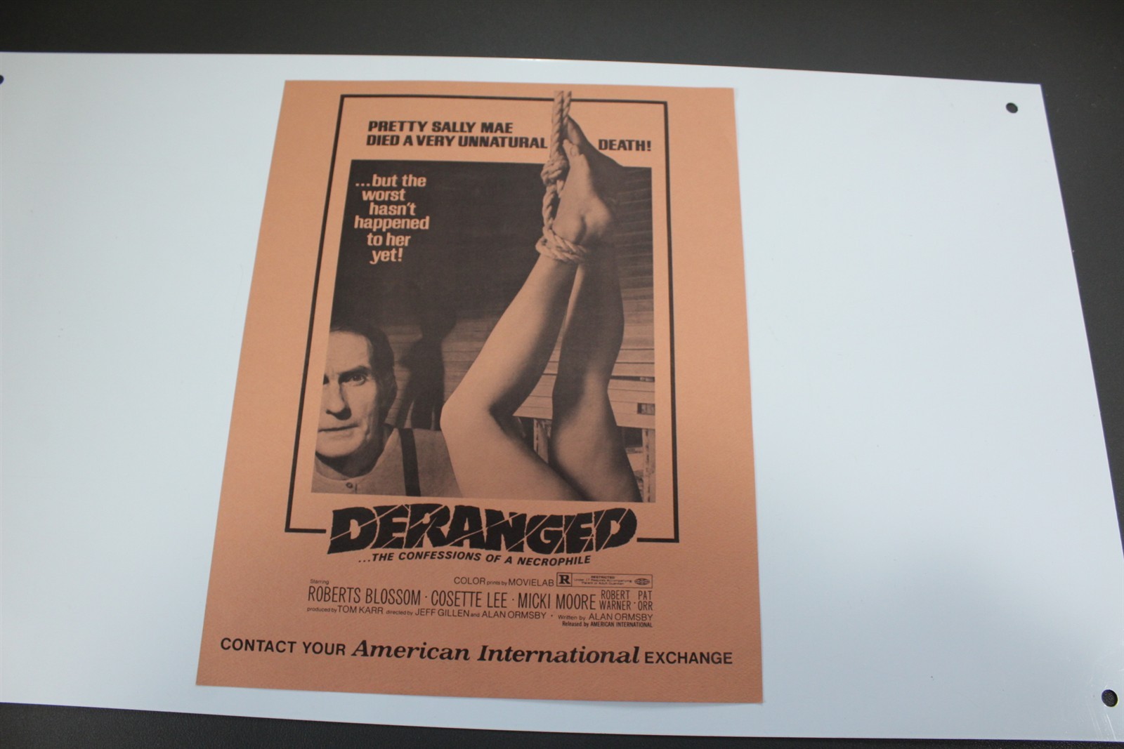 Vintage Black & White Deranged Movie Promo Sheet Horror Collectible