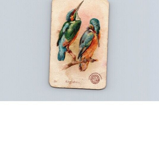 1880s-90s Arm & Hammer Beautiful Birds Kingfisher No 28 1880s-90s Arm & Hammer Beautiful Birds Kingfisher No 28