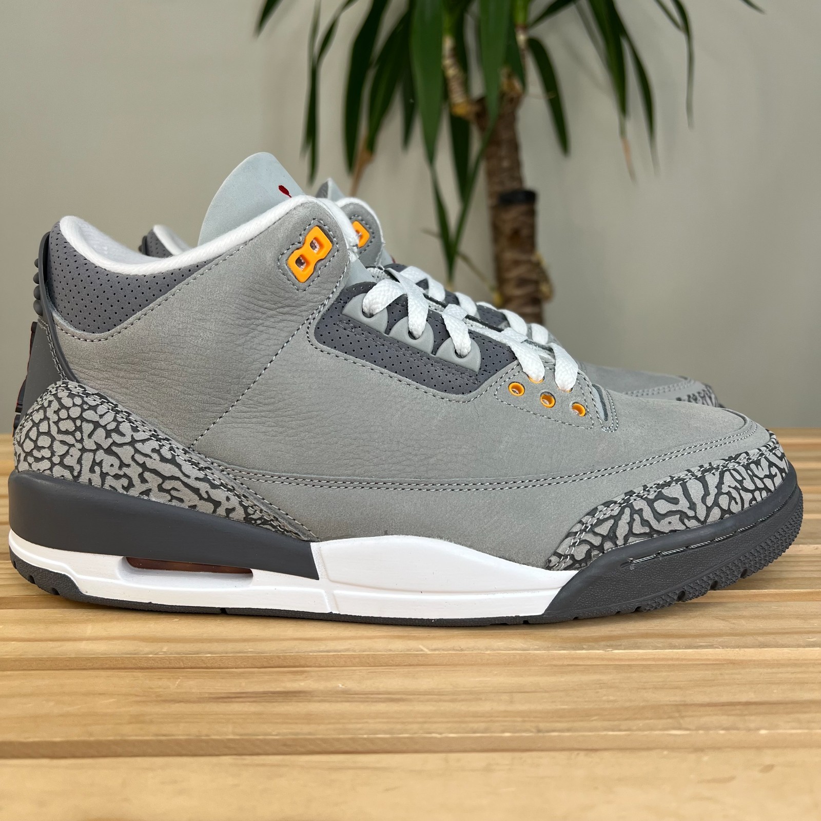 Size 10M - Jordan 3 Cool Grey 2021 Size 10M - Jordan 3 Cool Grey 2021